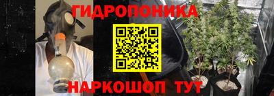 гашик Краснодар