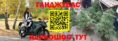 гашик Краснодар