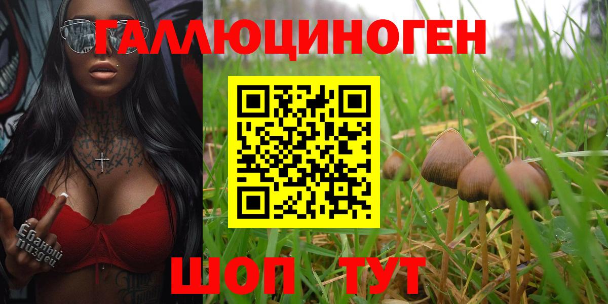 Волжский  Галлюциногенные грибы Psilocybe  Вход с VPN 
